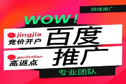 某行业sem竞价托管成功案例：精准投放的秘诀